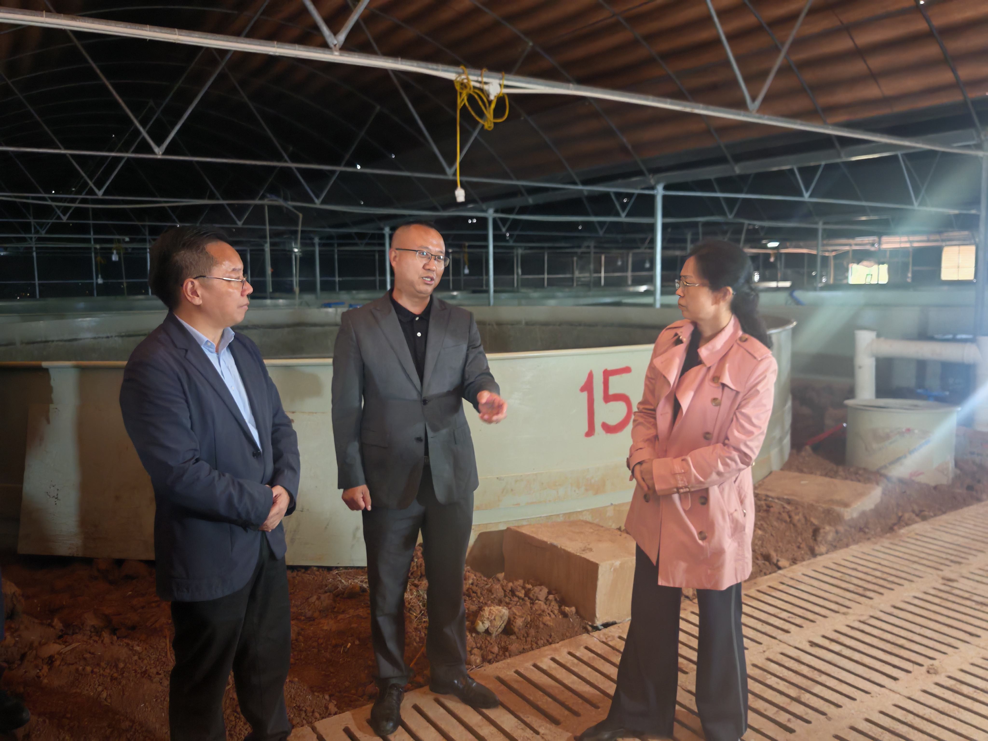 1761297408010070572.jpg 1761297408010070572.jpg