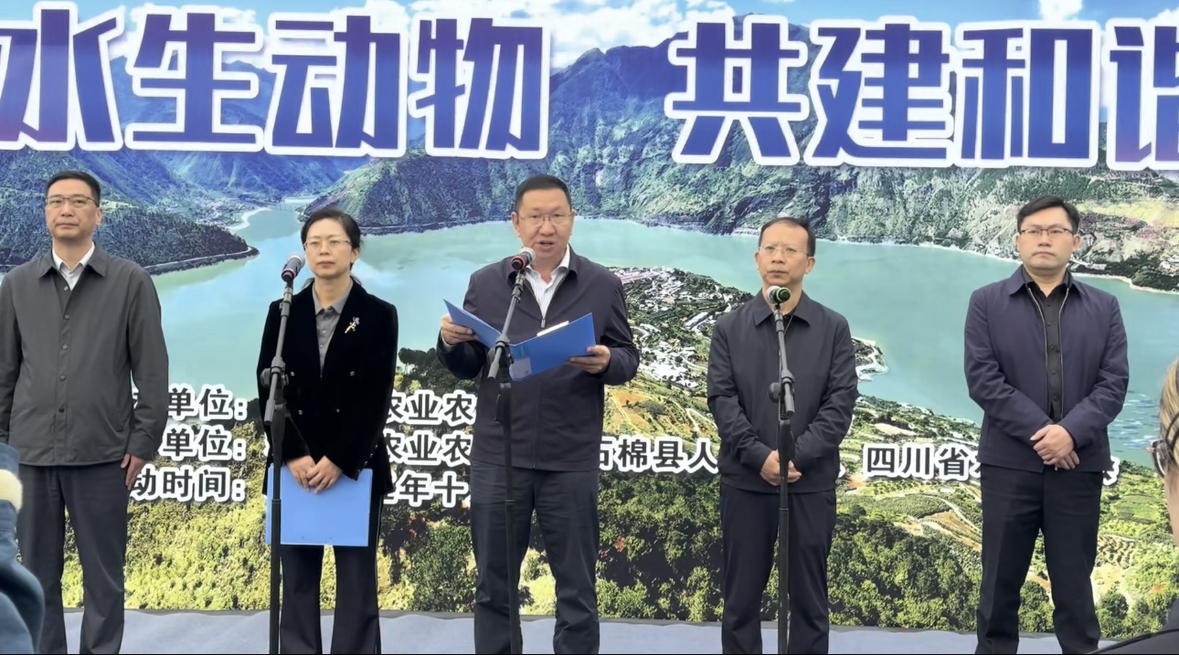 1761724456993096842.jpg 1761724456993096842.jpg