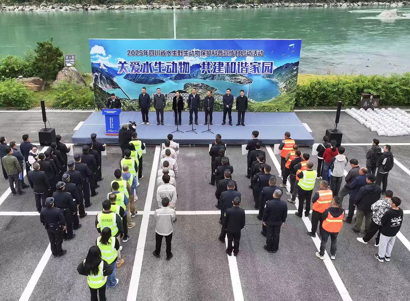 1761724487500094014.jpg 1761724487500094014.jpg