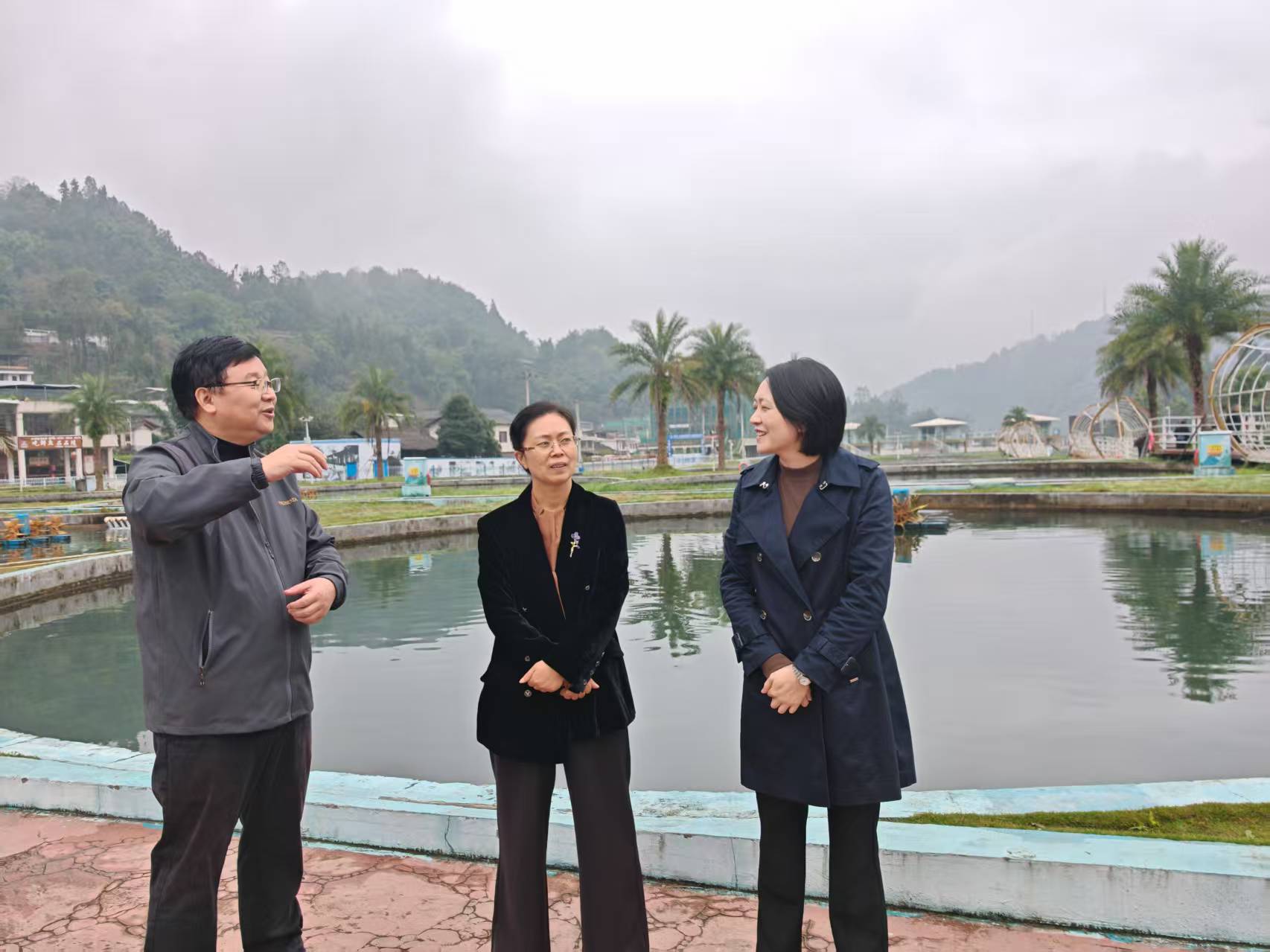 1761807777447096304.jpg 1761807777447096304.jpg