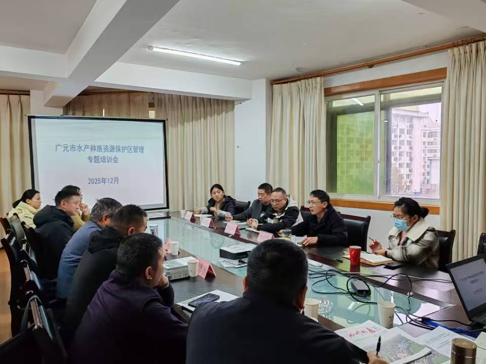 1765846925961022170.png 1765846925961022170.png