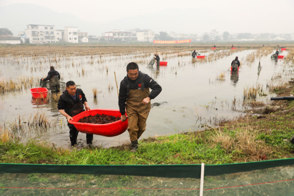 1768805979778057873.jpg 1768805979778057873.jpg